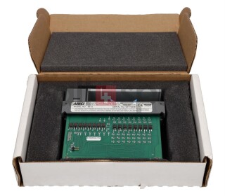 AMCI PACKAGING AUTOMATION MODULE, 8513